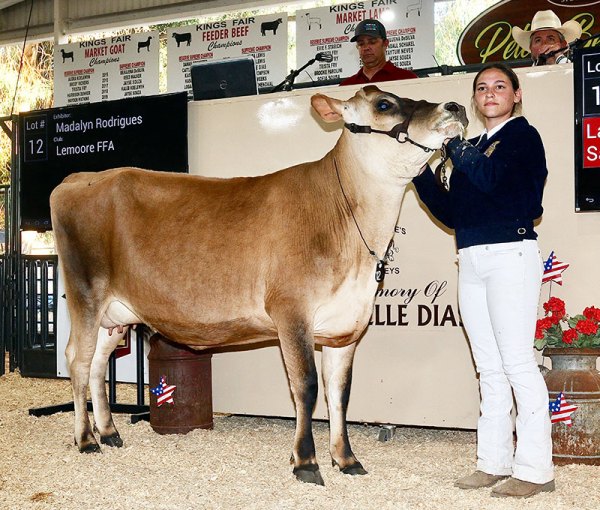 Annual Kings Fair had plenty to see and to from June 15-18 Lemoore High School's Madalyn Rodriguez has her Guernsey cow sold at auction at the Kings Fair.
